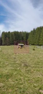 Teren Valea Doftanei - poza 3