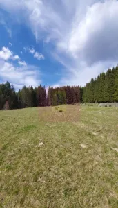 Teren Valea Doftanei - poza 4