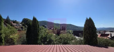 Casă 7 camere Bușteni - poza 55