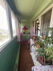 Apartament 3 camere București - poza 4