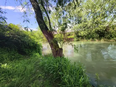 Casă 3 camere Campurelu - poza 61