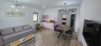 Apartament 2 camere Bușteni - poza 3