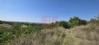 Teren intravilan 4.029 mp de vanzare, zona Crama Seciu - Boldesti-Scaeni