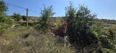 Teren Boldesti-Scaeni - poza 3