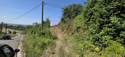Teren Boldesti-Scaeni - poza 4