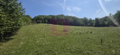 Teren Banesti - poza 4