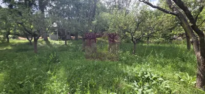 Casă 9 camere Breaza - poza 2