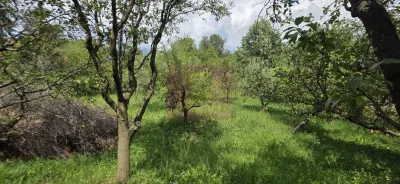 Casă 9 camere Breaza - poza 46