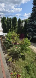 Casă 9 camere Breaza - poza 49