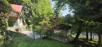 Teren Sinaia - poza 2