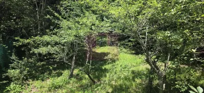 Teren Sinaia - poza 4