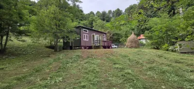 Casă 2 camere Telega - poza 2