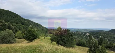 Casă 2 camere Telega - poza 11