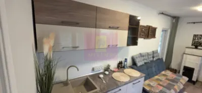 Casă 2 camere Telega - poza 4