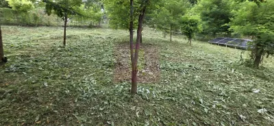 Casă 2 camere Telega - poza 39