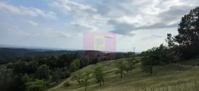 Casă 2 camere Telega - poza 6