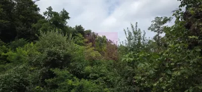Casă 2 camere Telega - poza 55