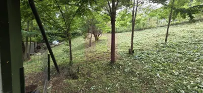 Casă 2 camere Telega - poza 56