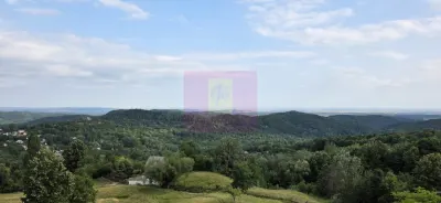 Casă 2 camere Telega - poza 10