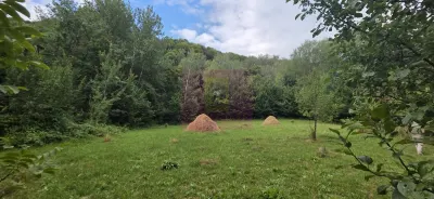 Teren de vanzare 15.000 mp in Telega - Telega