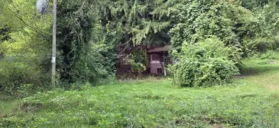 Teren Telega - poza 10
