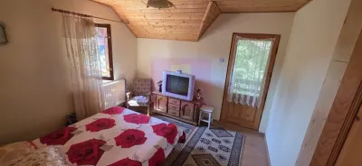 Casă 4 camere Bușteni - poza 8