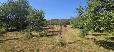 Teren intravilan de vanzare 3375 mp in Brebu - Brebu