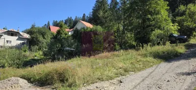 Teren Bușteni - poza 4