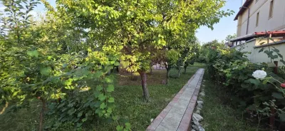 Casă 6 camere Banesti - poza 37