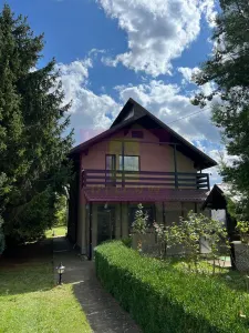 Casă 6 camere Brebu - poza 40