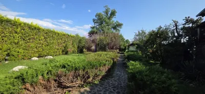 Casă 6 camere Brebu - poza 42