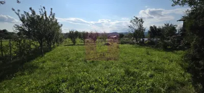 Casă 6 camere Brebu - poza 46
