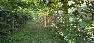 Casă 6 camere Brebu - poza 52