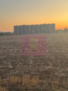 Teren Brănești - poza 9
