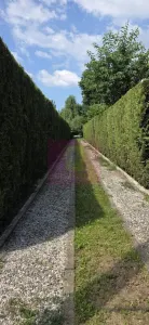 Casă 10 camere Breaza - poza 58