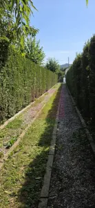 Casă 10 camere Breaza - poza 59