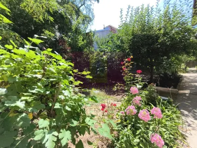 Casă 1 camera București - poza 3