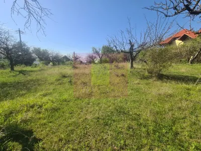 Teren de vanzare in Campina - Campina