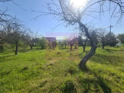 Teren de vanzare in Campina - foto 4