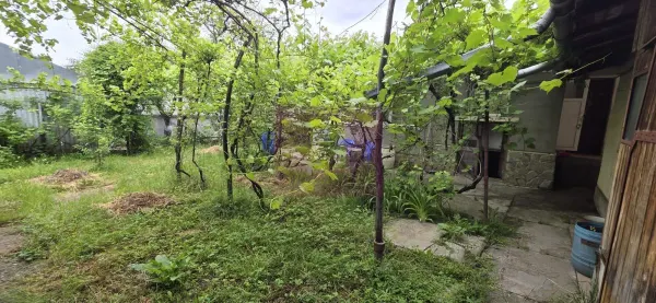 Casă 2 camere Câmpina - poza 21