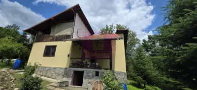 Casă 5 camere Provita de Sus - poza 17