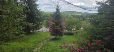 Casă 5 camere Provita de Sus - poza 20