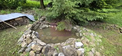 Casă 5 camere Provita de Sus - poza 24