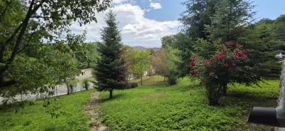 Casă 5 camere Provita de Sus - poza 27