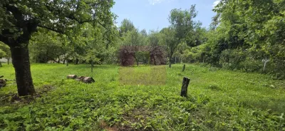 Casă 5 camere Provita de Sus - poza 29