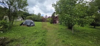 Casă 5 camere Provita de Sus - poza 31