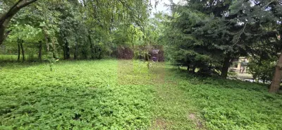 Casă 5 camere Provita de Sus - poza 32