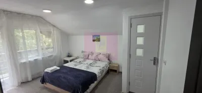 Casă 7 camere Valea Doftanei - poza 13