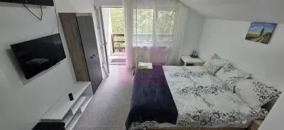 Casă 7 camere Valea Doftanei - poza 15