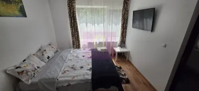 Casă 7 camere Valea Doftanei - poza 17
